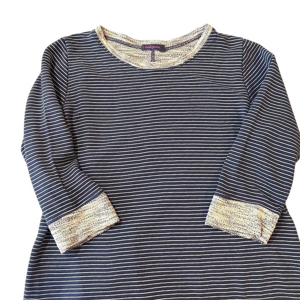 fresh produce Navy and White Striped Boatneck Top with Metallic Trim